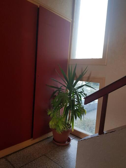 Superbe Appartement En Residence Prive Avec Un Parking Prive Scionzier Extérieur photo
